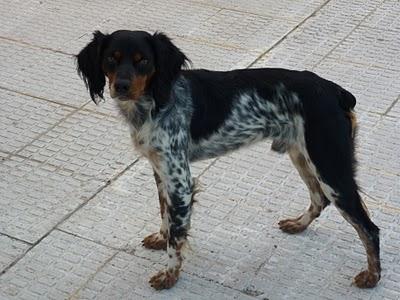 Freddy, se merece todo lo que hasta ahora no ha tenido.