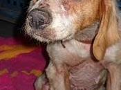 Mer, bretona viejita pesimas condiciones. (Badajoz)