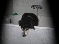 Otra abuelita de la que ya ponían sacar mas beneficio :(