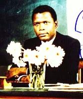 TU MAESTRO SOÑADO…