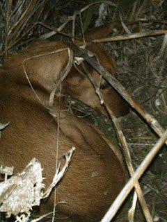 Rachel sigue sin nada