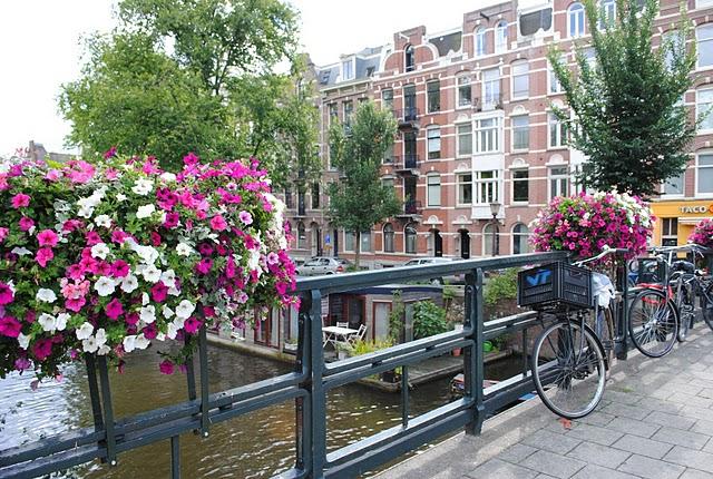 A LOOK AT AMSTERDAM