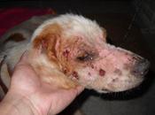 Mer, recogida estas condiciones, sobran palabras (Badajoz)