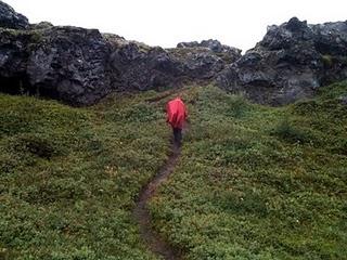 17 de agosto. Akureyri, Húsavík, Parque Jökulsárgljúfur,  cañón Ásbyrgi, Vesturdalur