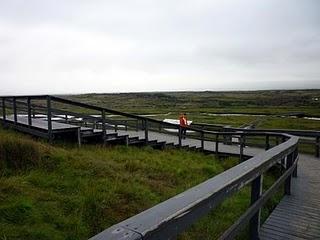 12 de agosto. Pingvellir y lago Pingvallavatn 12 de agosto. Pingvellir y lago Pingvallavatn