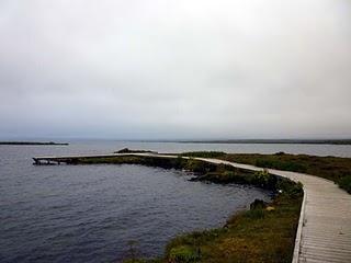 12 de agosto. Pingvellir y lago Pingvallavatn