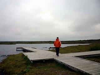 12 de agosto. Pingvellir y lago Pingvallavatn