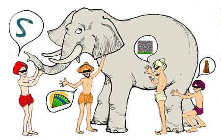 La Teoría del Elefante y la Sabana.