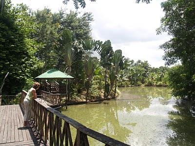 Sandakan y Sepilok