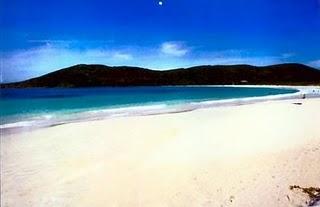 Bizcocho Puertorriqueño