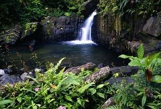 Bizcocho Puertorriqueño