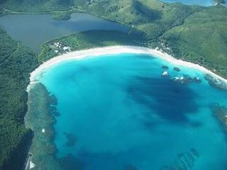 Bizcocho Puertorriqueño