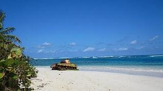 Bizcocho Puertorriqueño