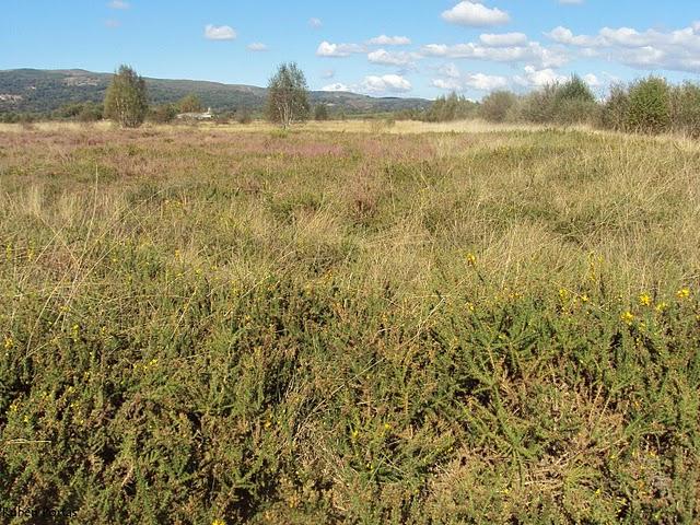 Congreso GIA Allariz