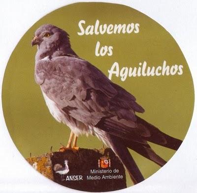 Congreso GIA Allariz