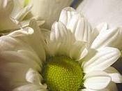 miradas, pintura fotografía