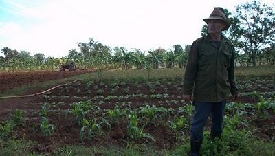 Industria alimenticia de Cuba perdió 100 millones de dólares por bloqueo de USA