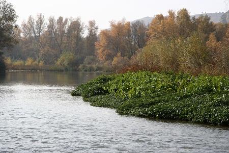 Curso de iniciación a la fotografía digital de naturaleza