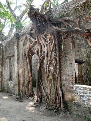 Seminario en Xalapa: Una Semana Llena de Arquitectura y Nuevos Amigos