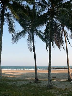 Seminario en Xalapa: Una Semana Llena de Arquitectura y Nuevos Amigos