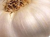 Tiene Parásitos, Gran Aliado