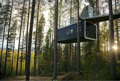 En que casita de árbol desea hospedarse? Ante vosotros el TreeHotel!