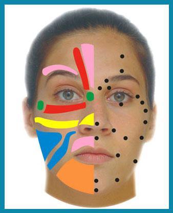 La reflexología facial