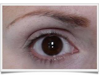 RECOMENDACIÓN DE HOY: ACEITE DE RICINO.