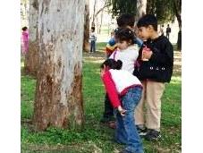 Cómo descubrir alentar inteligencia nuestros hijos