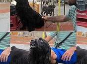 Desesperados alguien fije ellos..