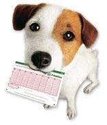 Las monerías las haces tu