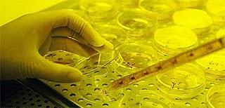 Atacar el cáncer de mama con partículas de oro