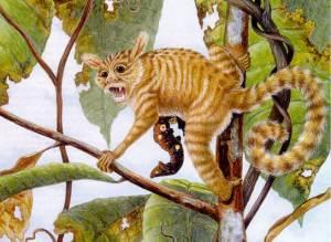 Nuevos fósiles hallados arrojan luz sobre nuestro origen