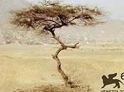 Critica: paraiso (2009)