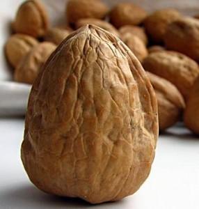 Las Nueces Ayudan a Prevenir La Enfermedad De Parkinson