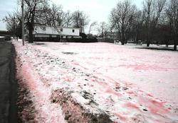 Nieve de fresa