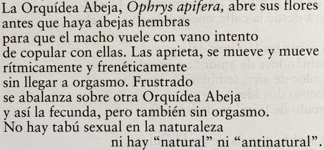 Bellaqueo - fragmento de 'Cántico cósmico'