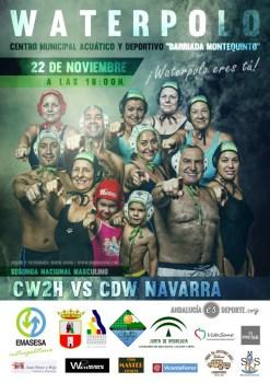 Cartel Dos Hermanas-Navarra