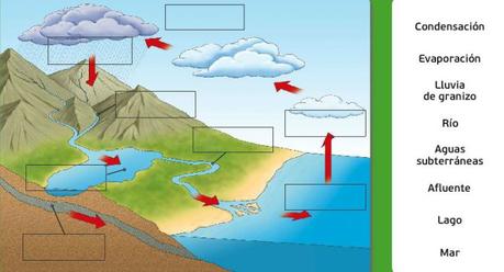 El ciclo del agua