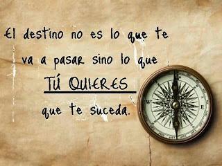 ¿Y POR QUÉ NOS VAMOS?