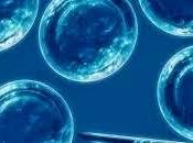 Tratamiento Diabetes Celulas Umbilicales