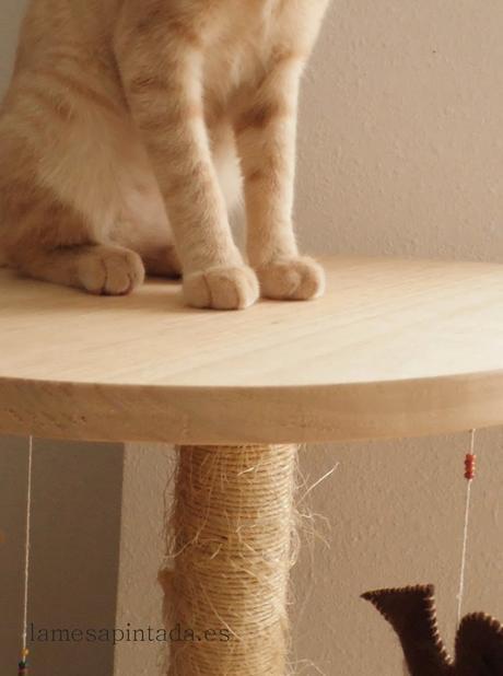 Finde Frugal Un rascador para el gato Finde Frugal Un rascador para el gato