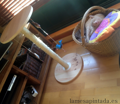 Finde Frugal Un rascador para el gato Finde Frugal Un rascador para el gato