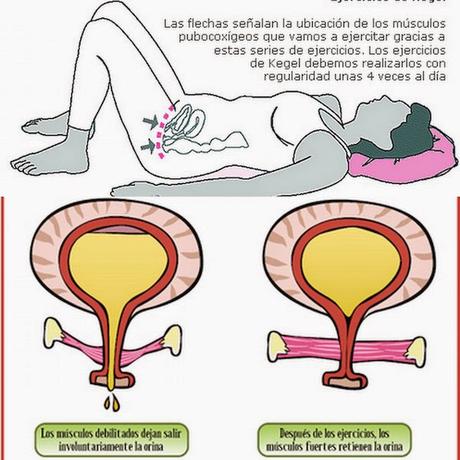 Trabajar el suelo pélvico! / How to work the pelvic floor