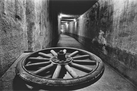 FOTÓGRAFOS: IKKÔ NARAHARA