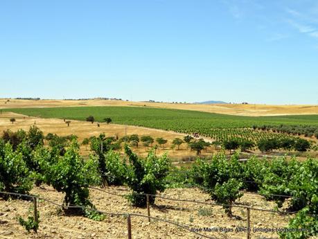 ExAO (5): Vinos de Extremadura