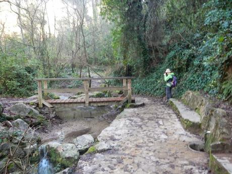 Serralada del Ordal: Gelida - Puig d'Agulles - Montcau - Gelida