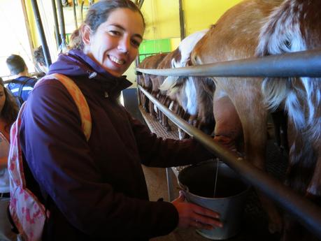 VISITA A LA FINCA QUESERÍA DE MONTE ROBLEDO EN ARACENA. CÓMO ELABORAR QUESO PASO A PASO. TALLER DE QUESO.