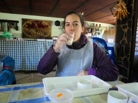 VISITA A LA FINCA QUESERÍA DE MONTE ROBLEDO EN ARACENA. CÓMO ELABORAR QUESO PASO A PASO. TALLER DE QUESO.