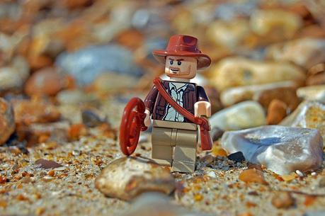 10 cosas que probablemente no sabías de: la paleontología y los paleontólogos